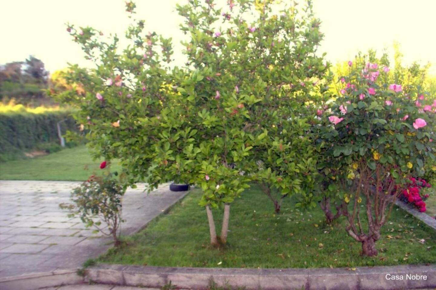 Retiro Na Natureza Casa Com Piscina Digueifel Extérieur photo